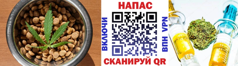Купить закладки  Белозерск  Еда ТГК марихуана 
