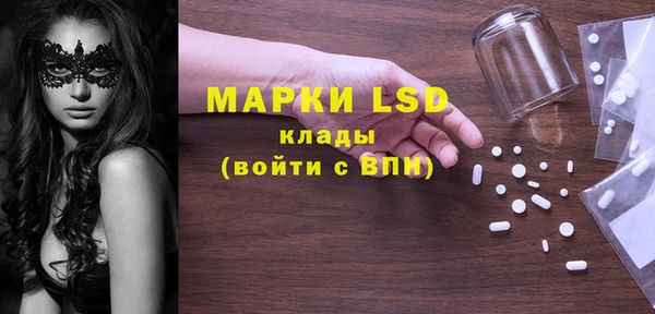 mdpv Вяземский