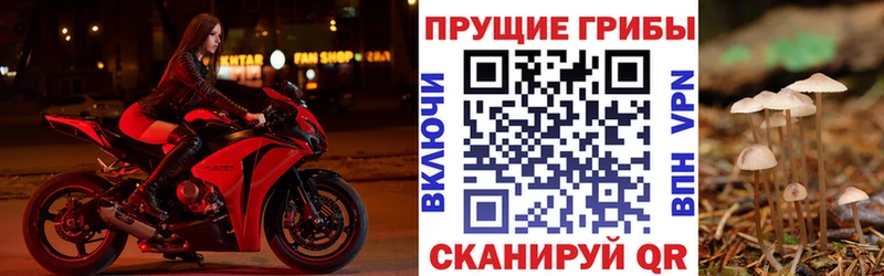 Псилоцибиновые грибы мицелий  Купить  Белозерск 